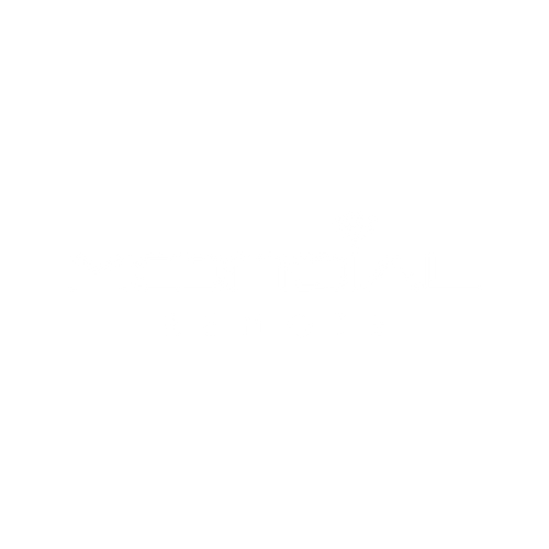 MONDIAL REMOTE